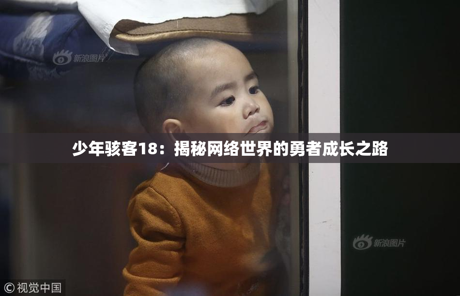 少年骇客18：揭秘网络世界的勇者成长之路