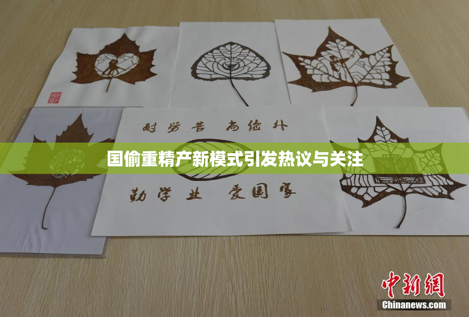 国偷重精产新模式引发热议与关注
