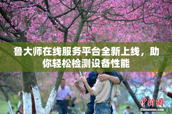 鲁大师在线服务平台全新上线，助你轻松检测设备性能