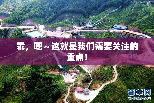 乖，嗯～这就是我们需要关注的重点！