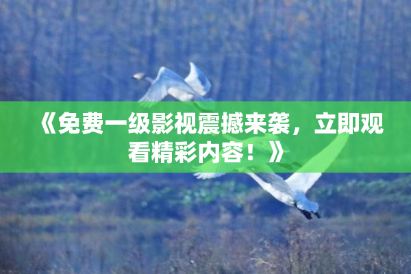 《免费一级影视震撼来袭，立即观看精彩内容！》