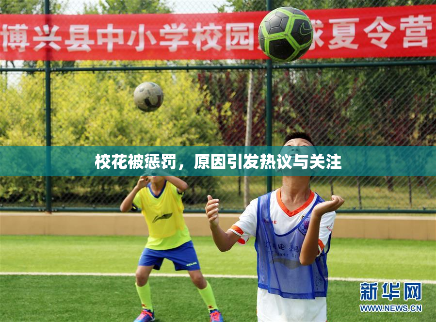 校花被惩罚，原因引发热议与关注