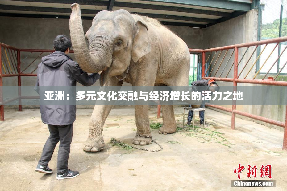 亚洲：多元文化交融与经济增长的活力之地