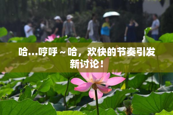哈…哼呼～哈，欢快的节奏引发新讨论！