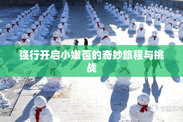 强行开启小嫩苞的奇妙旅程与挑战