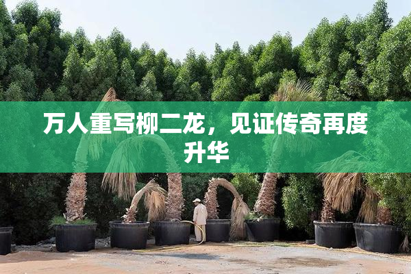 万人重写柳二龙，见证传奇再度升华