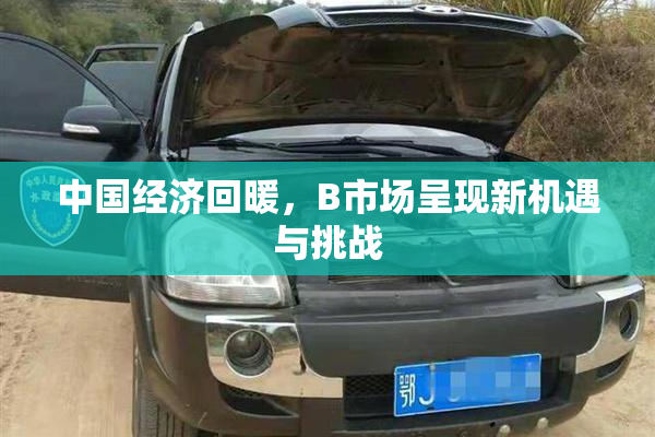中国经济回暖，B市场呈现新机遇与挑战