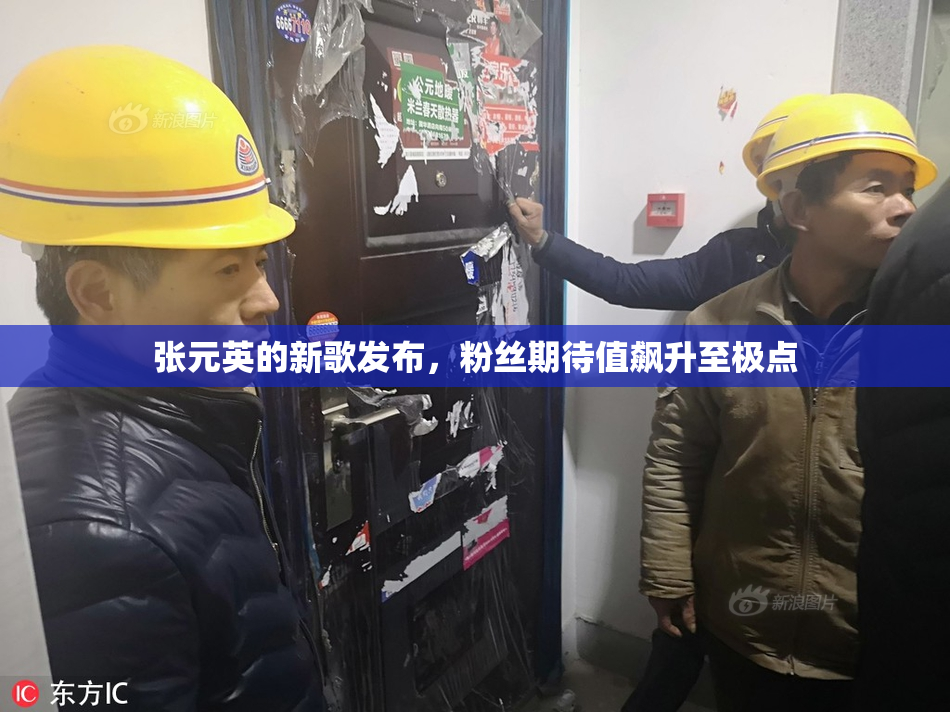 张元英的新歌发布，粉丝期待值飙升至极点