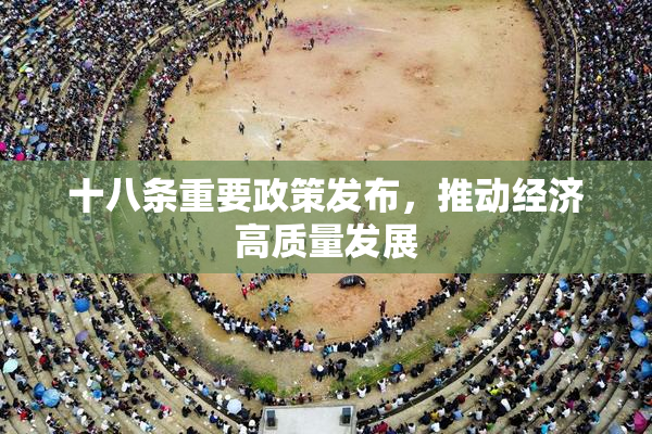 十八条重要政策发布，推动经济高质量发展