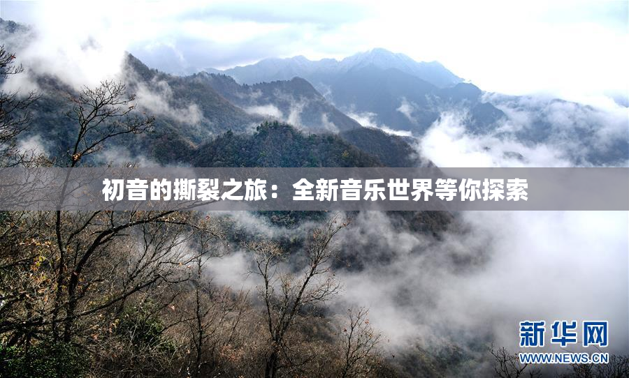 初音的撕裂之旅：全新音乐世界等你探索