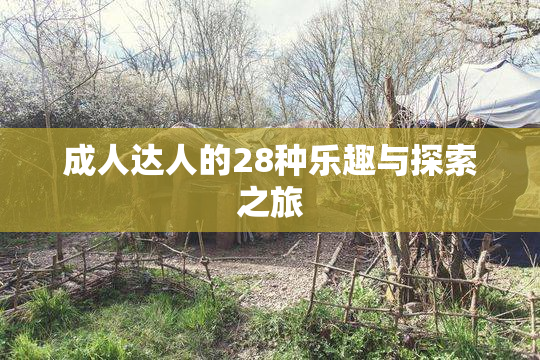 成人达人的28种乐趣与探索之旅