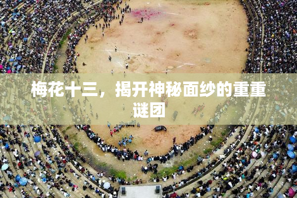 梅花十三，揭开神秘面纱的重重谜团