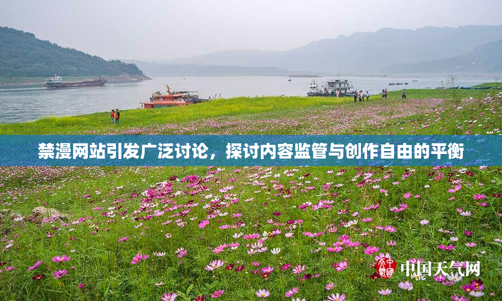 禁漫网站引发广泛讨论，探讨内容监管与创作自由的平衡