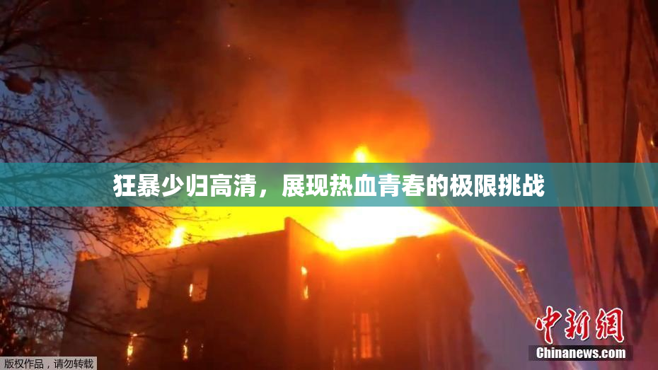 狂暴少归高清，展现热血青春的极限挑战