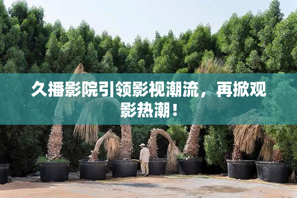 久播影院引领影视潮流，再掀观影热潮！