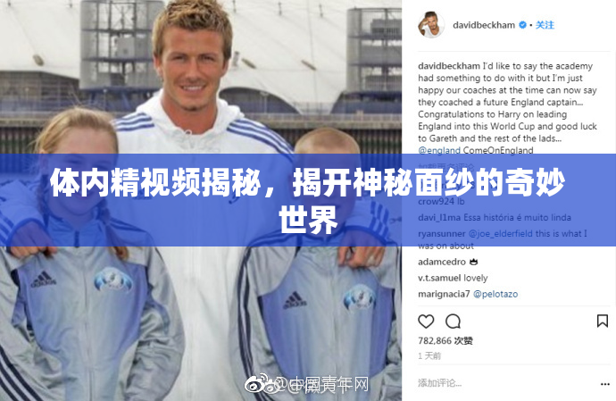 体内精视频揭秘，揭开神秘面纱的奇妙世界