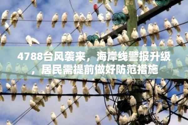 4788台风袭来，海岸线警报升级，居民需提前做好防范措施