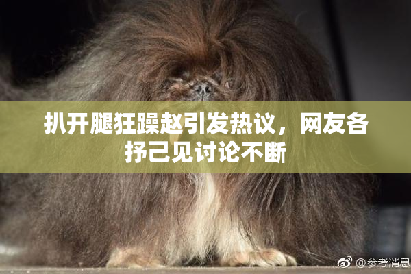 扒开腿狂躁赵引发热议，网友各抒己见讨论不断