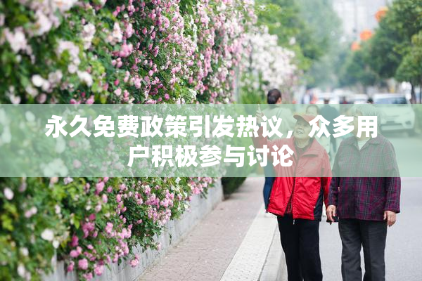 永久免费政策引发热议，众多用户积极参与讨论