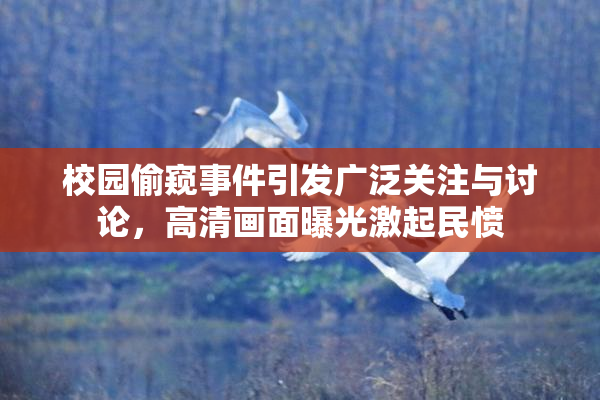 校园偷窥事件引发广泛关注与讨论，高清画面曝光激起民愤