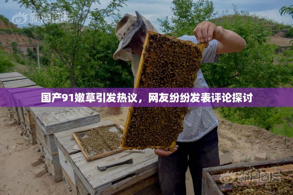 国产91嫩草引发热议，网友纷纷发表评论探讨