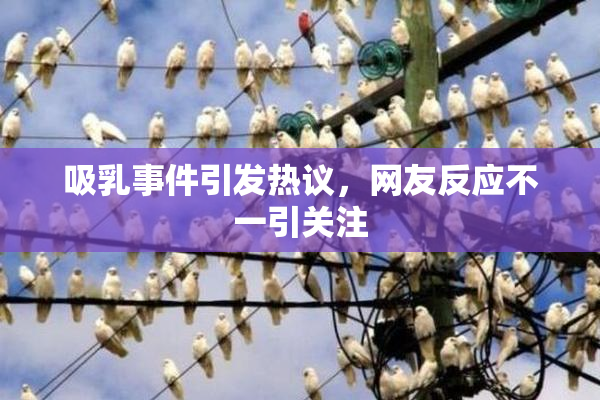 吸乳事件引发热议，网友反应不一引关注