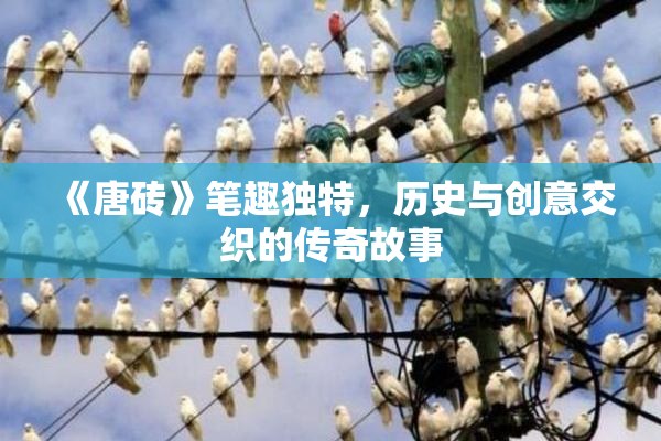 《唐砖》笔趣独特，历史与创意交织的传奇故事