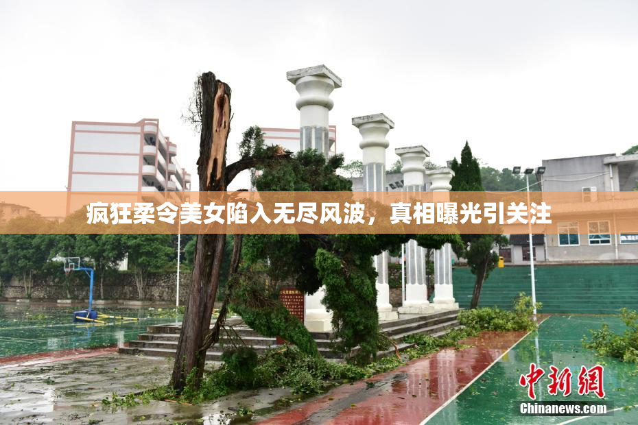 疯狂柔令美女陷入无尽风波，真相曝光引关注