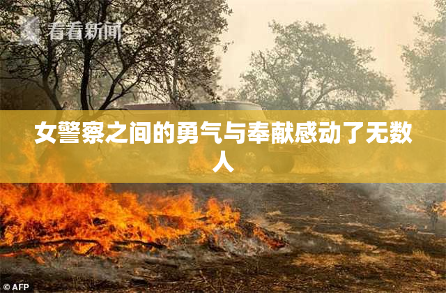 女警察之间的勇气与奉献感动了无数人