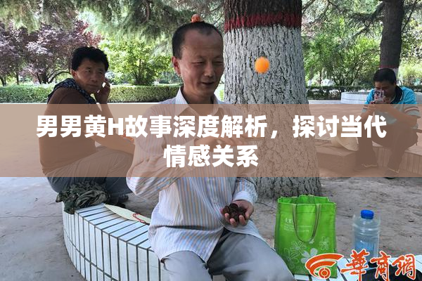 男男黄H故事深度解析，探讨当代情感关系