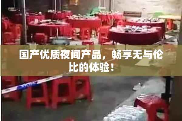 国产优质夜间产品，畅享无与伦比的体验！