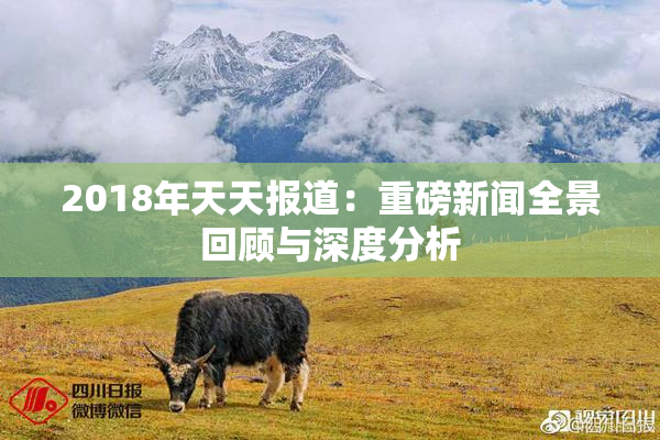 2018年天天报道：重磅新闻全景回顾与深度分析