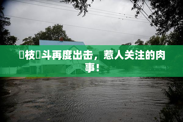 狛枝凪斗再度出击，惹人关注的肉事！