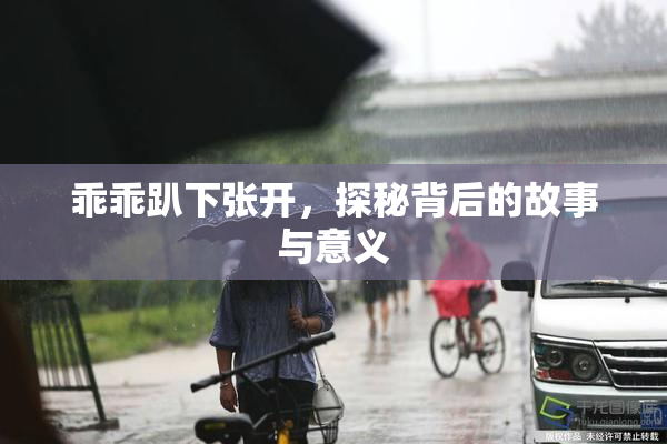 乖乖趴下张开，探秘背后的故事与意义