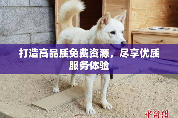 打造高品质免费资源，尽享优质服务体验