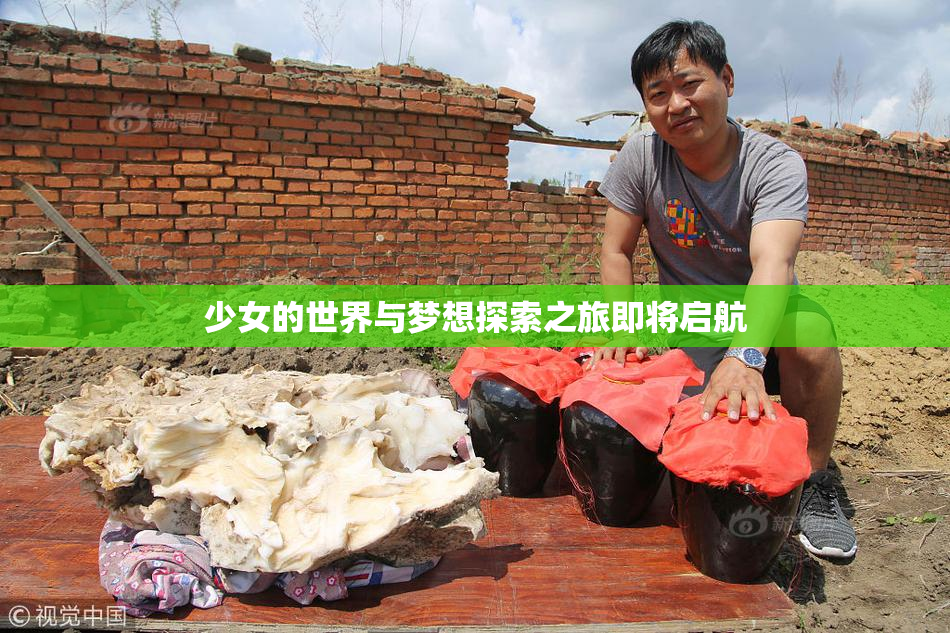 少女的世界与梦想探索之旅即将启航