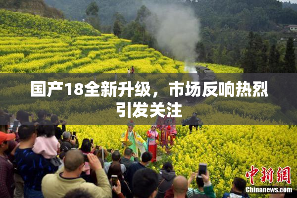 国产18全新升级，市场反响热烈引发关注