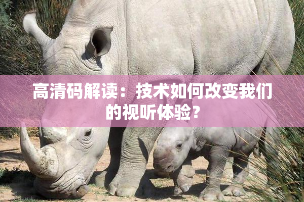 高清码解读：技术如何改变我们的视听体验？