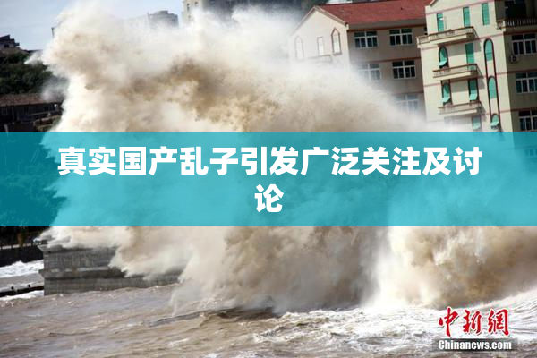 真实国产乱子引发广泛关注及讨论