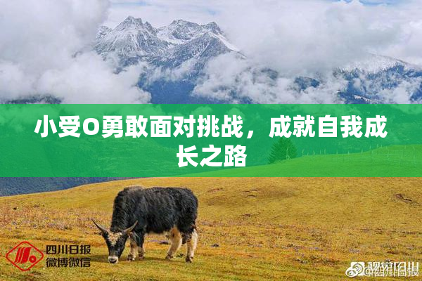小受O勇敢面对挑战，成就自我成长之路