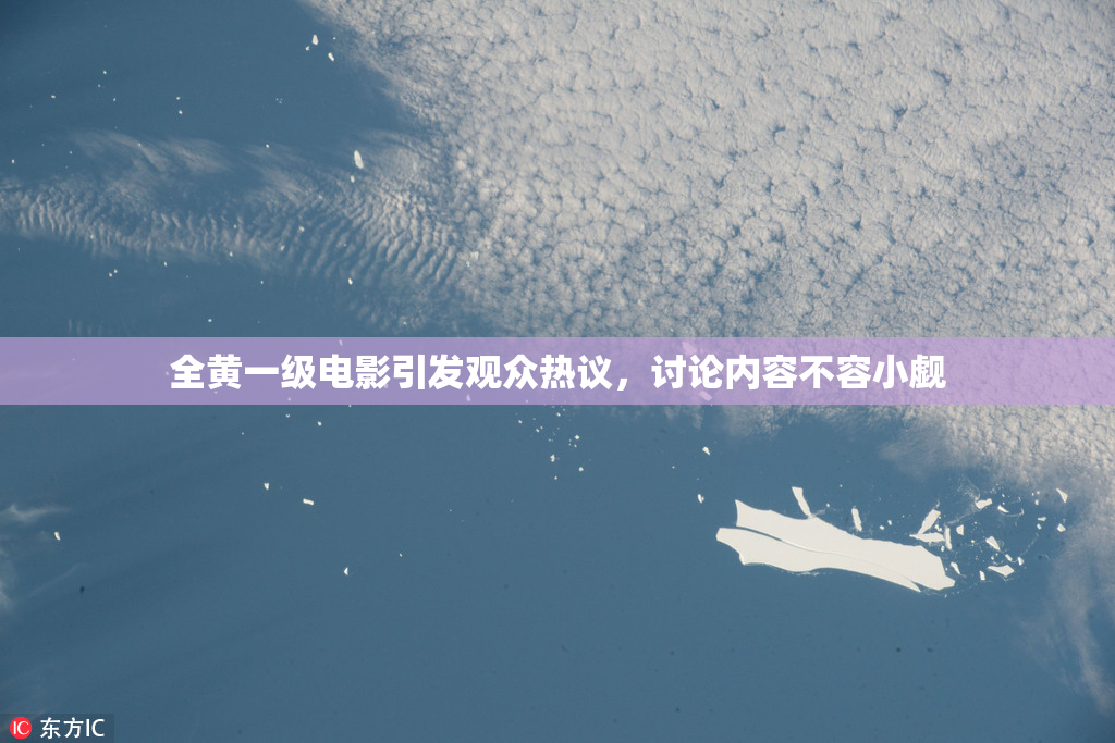 全黄一级电影引发观众热议，讨论内容不容小觑