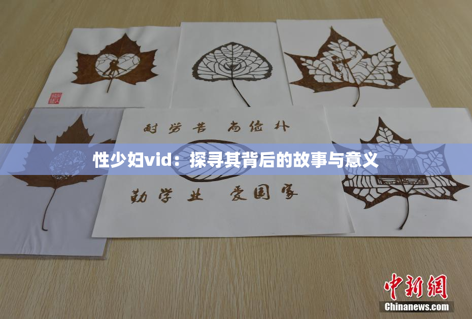 性少妇vid：探寻其背后的故事与意义