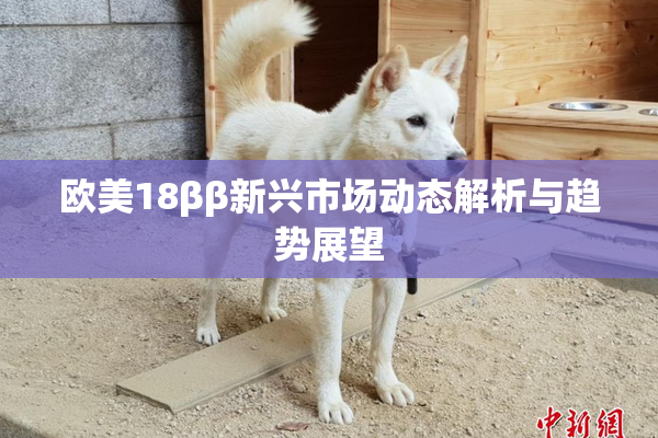 欧美18ββ新兴市场动态解析与趋势展望