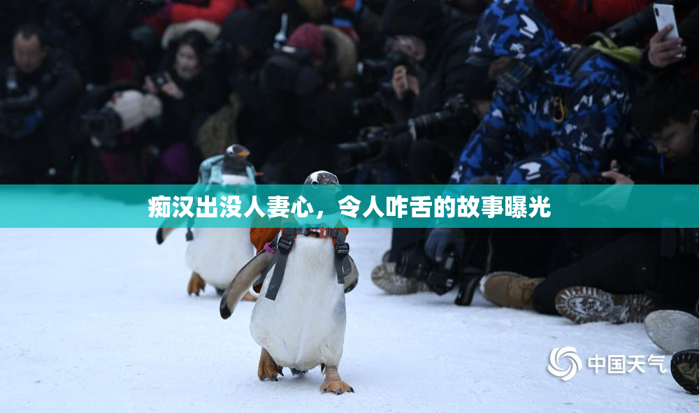 痴汉出没人妻心，令人咋舌的故事曝光