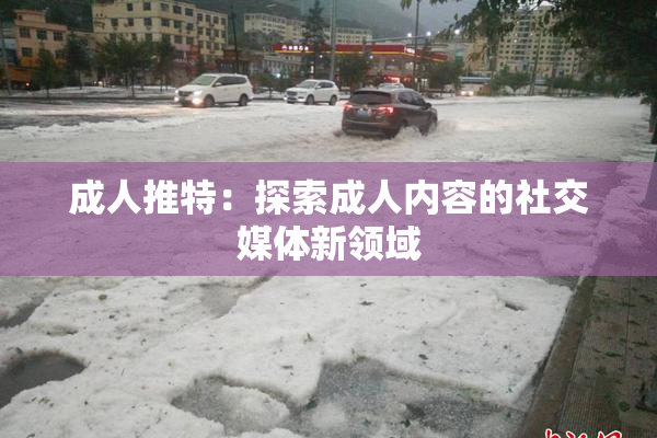 成人推特：探索成人内容的社交媒体新领域