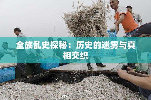 全族乱史探秘：历史的迷雾与真相交织