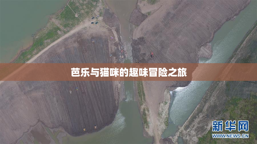 芭乐与猫咪的趣味冒险之旅