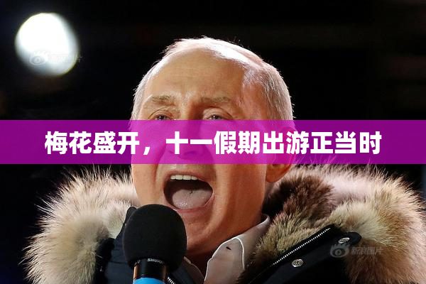 梅花盛开，十一假期出游正当时