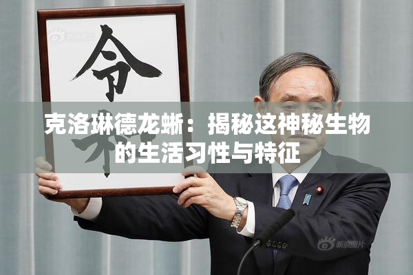 克洛琳德龙蜥：揭秘这神秘生物的生活习性与特征