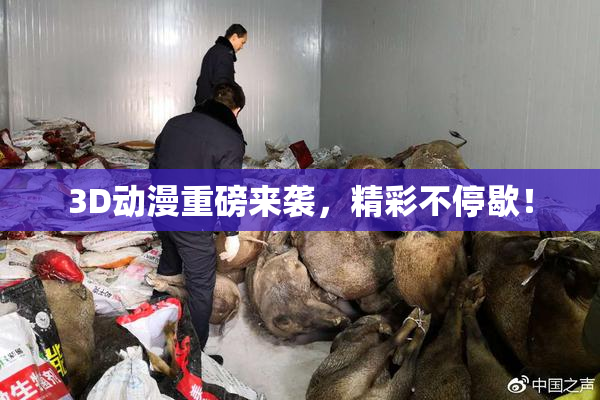 3D动漫重磅来袭，精彩不停歇！